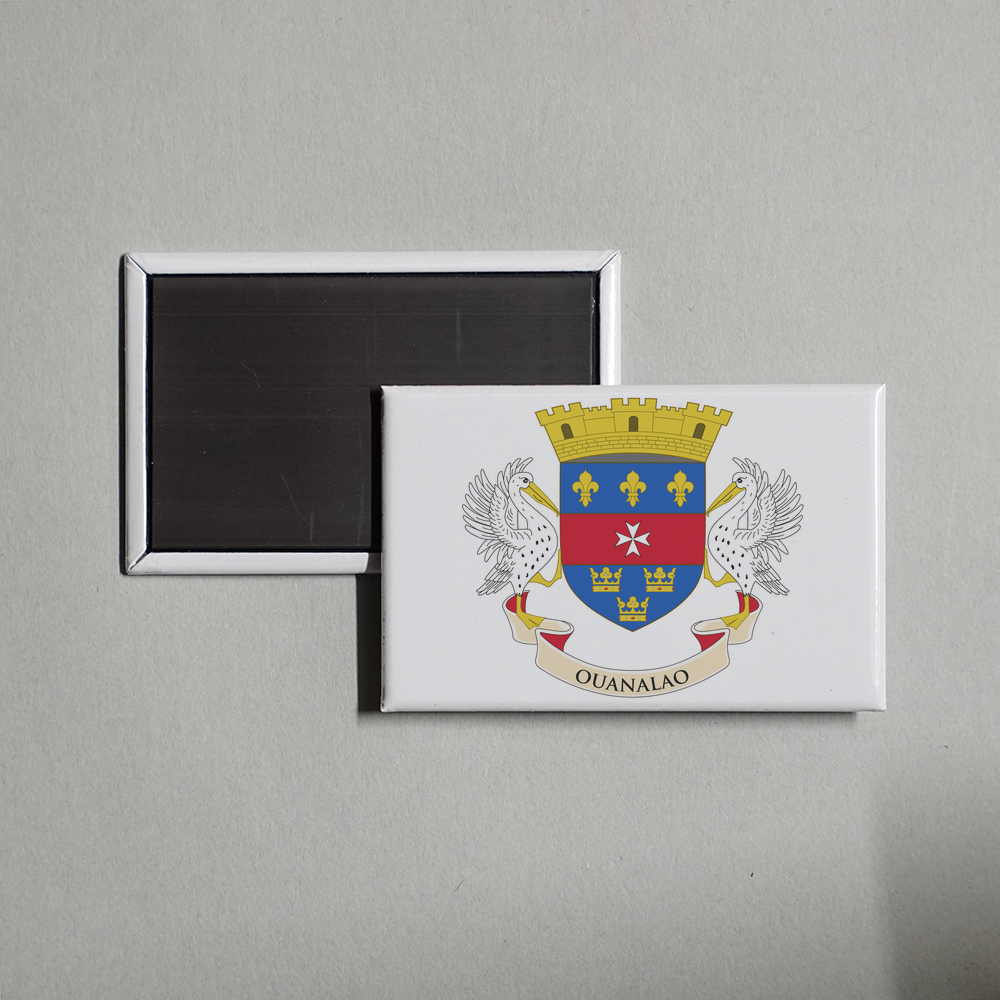 Saint Barthélemy Flag Fridge Magnet