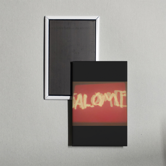 Salome Mini Movie Fridge Magnet