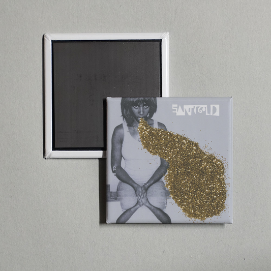 Santigold - Santigold Album Cover Fridge Magnet