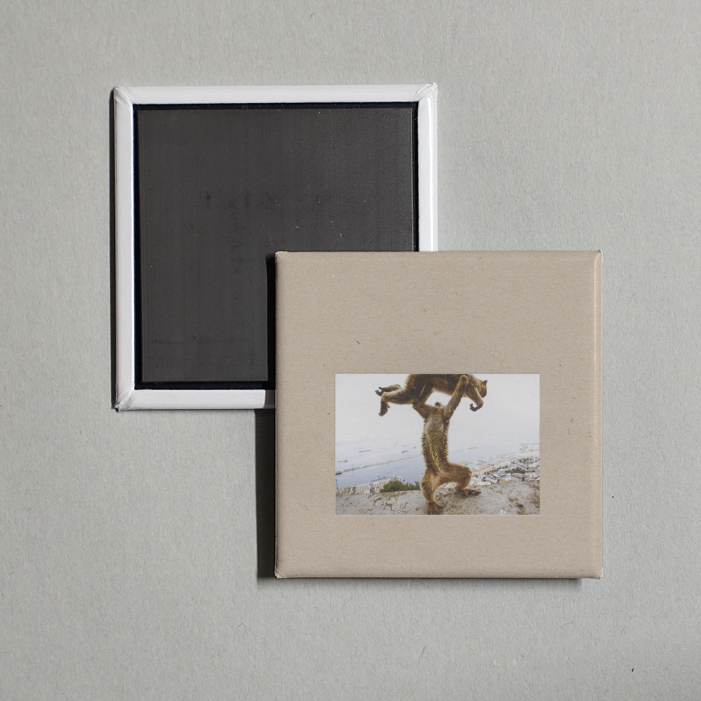 Shellac - Dude Incredible Album Cover Fridge Magnet