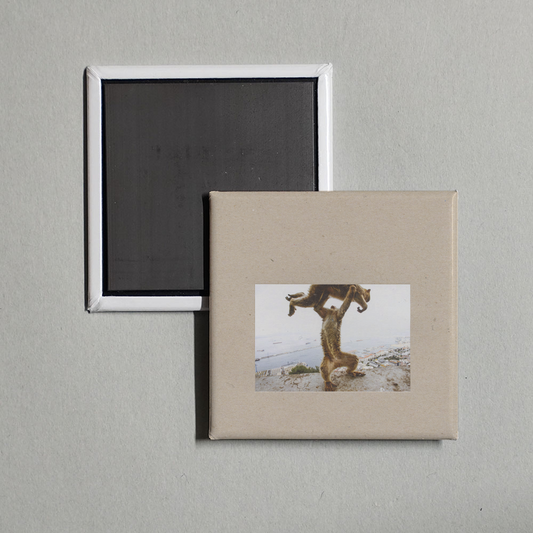 Shellac - Dude Incredible Album Cover Fridge Magnet
