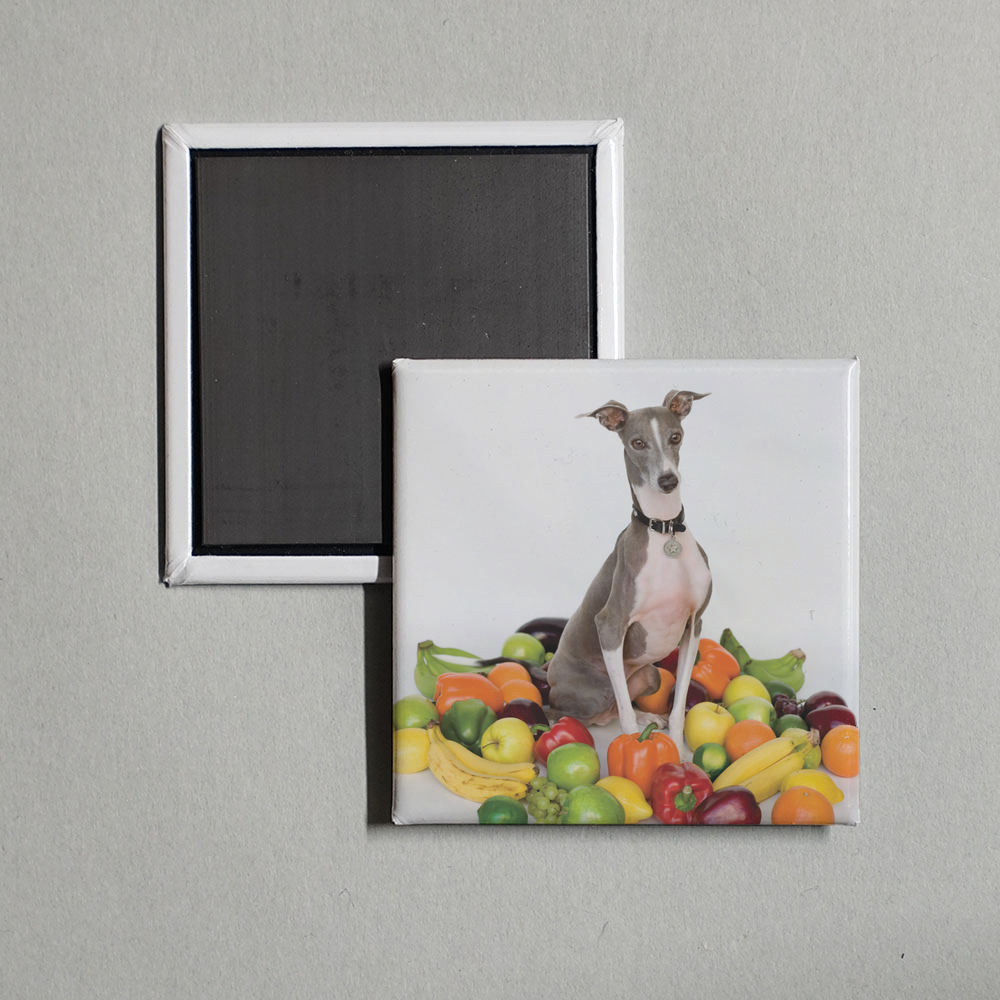 Shellac - Excellent Italian Greyhound Album Cover Fridge Magnet