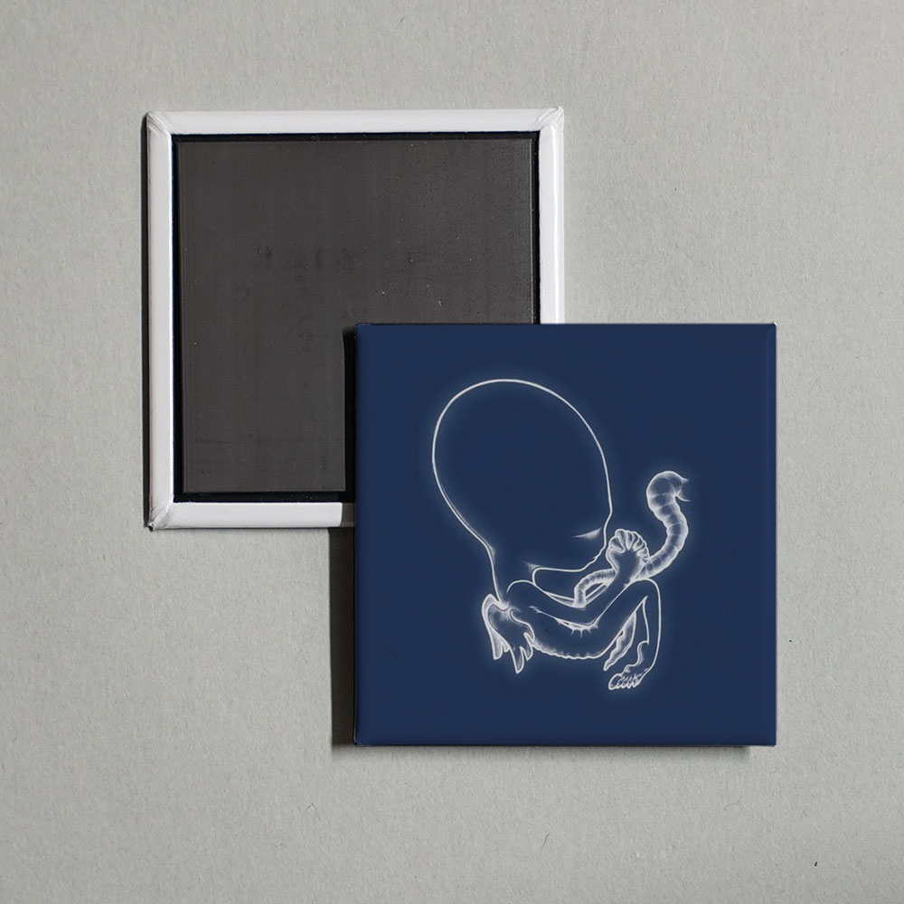Sigur Rós - Ágætis byrjun Album Cover Fridge Magnet