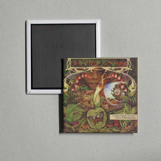 Spyro Gyra - Morning Dance Album Cover Fridge Magnet