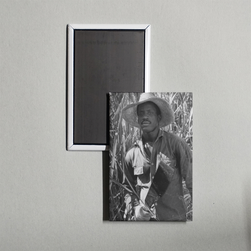 Susan After the Sugar Harvest Mini Movie Fridge Magnet