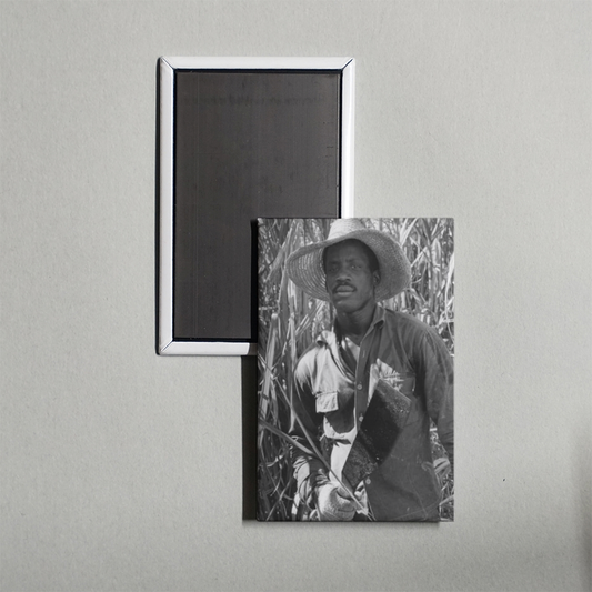 Susan After the Sugar Harvest Mini Movie Fridge Magnet