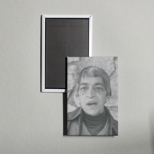 Sweet Sal Mini Movie Fridge Magnet