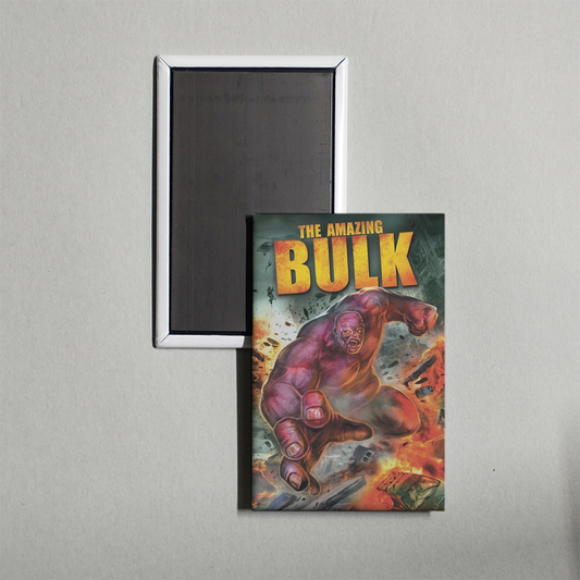 The Amazing Bulk Mini Movie Fridge Magnet