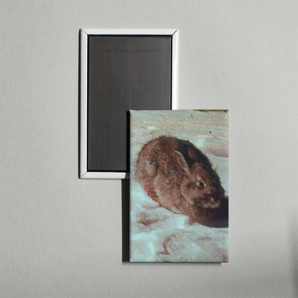 The Animals of Eden and After Mini Movie Fridge Magnet