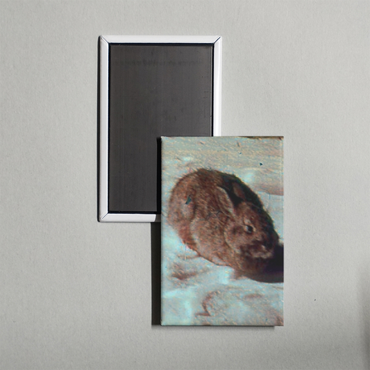 The Animals of Eden and After Mini Movie Fridge Magnet