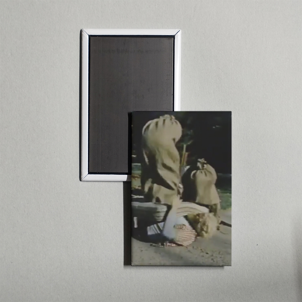 The Baggs Mini Movie Fridge Magnet