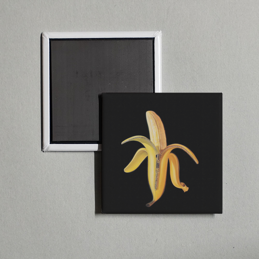 The Dandy Warhols - Welcome To The Monkey House Album Cover Fridge Magnet