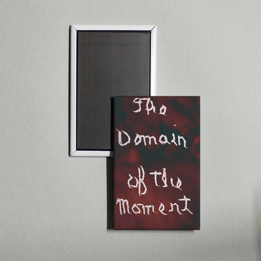 The Domain of the Moment Mini Movie Fridge Magnet