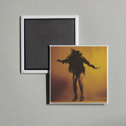 The Last Shadow Puppets - Everything You've Come To Expect (Deluxe Edition) Album Cover Fridge Magnet