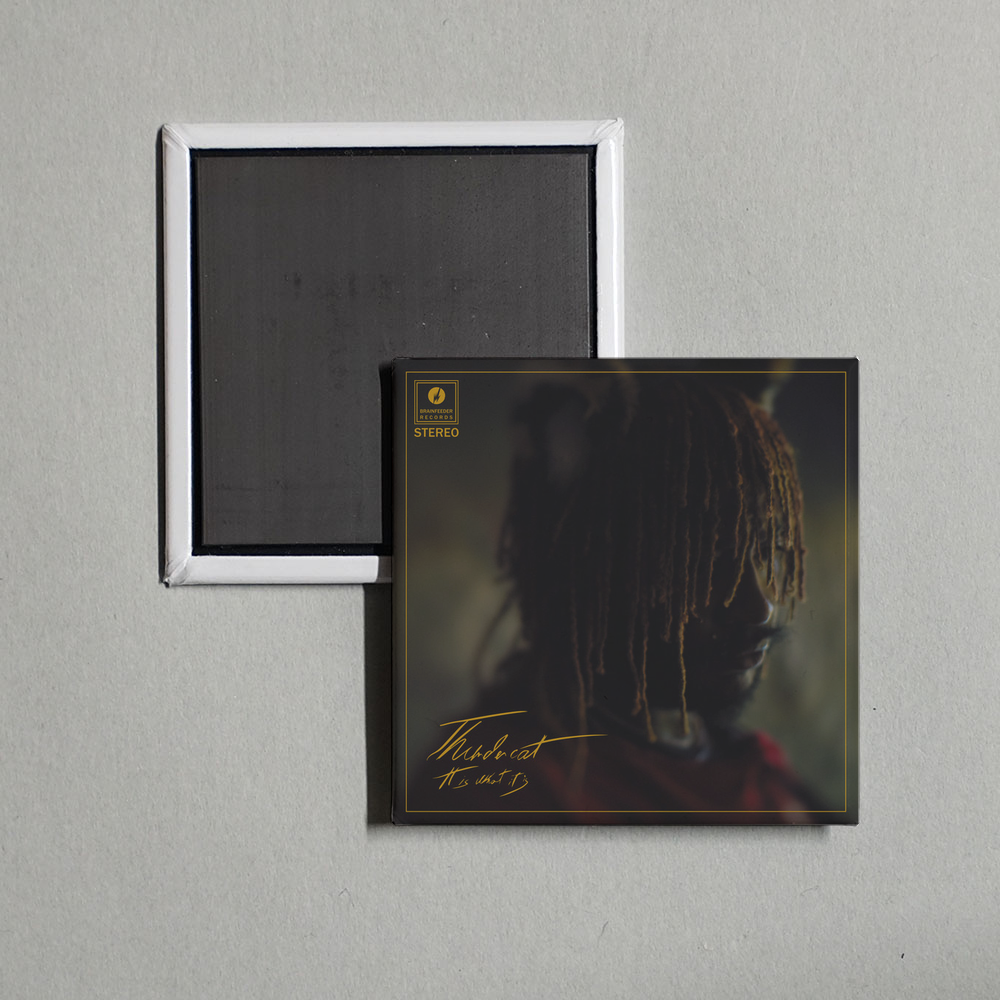 Thundercat - It Is What It Is Album Cover Fridge Magnet