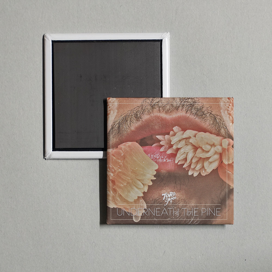 Toro y Moi - Underneath The Pine Album Cover Fridge Magnet