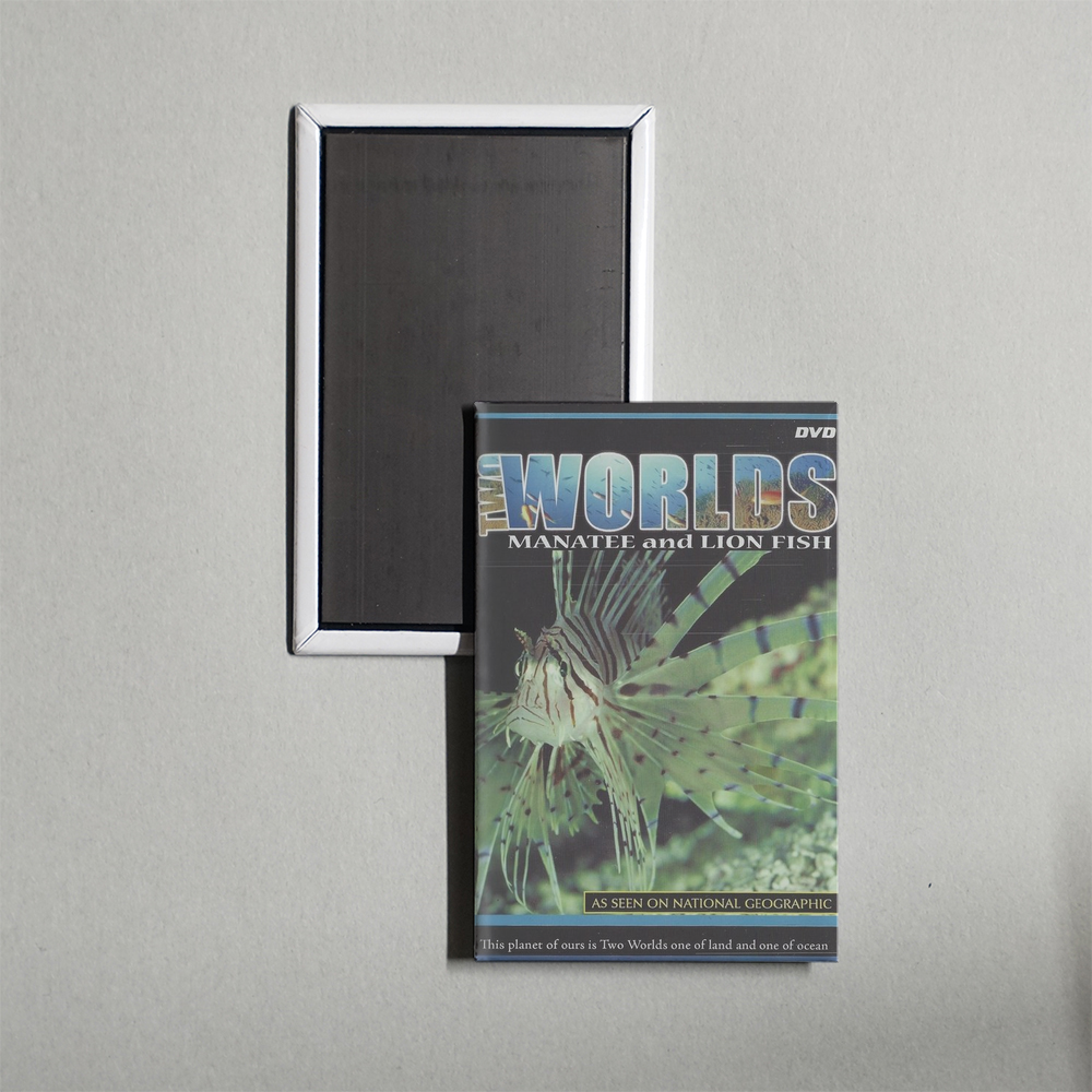 Two Worlds TV Show Fridge Magnet