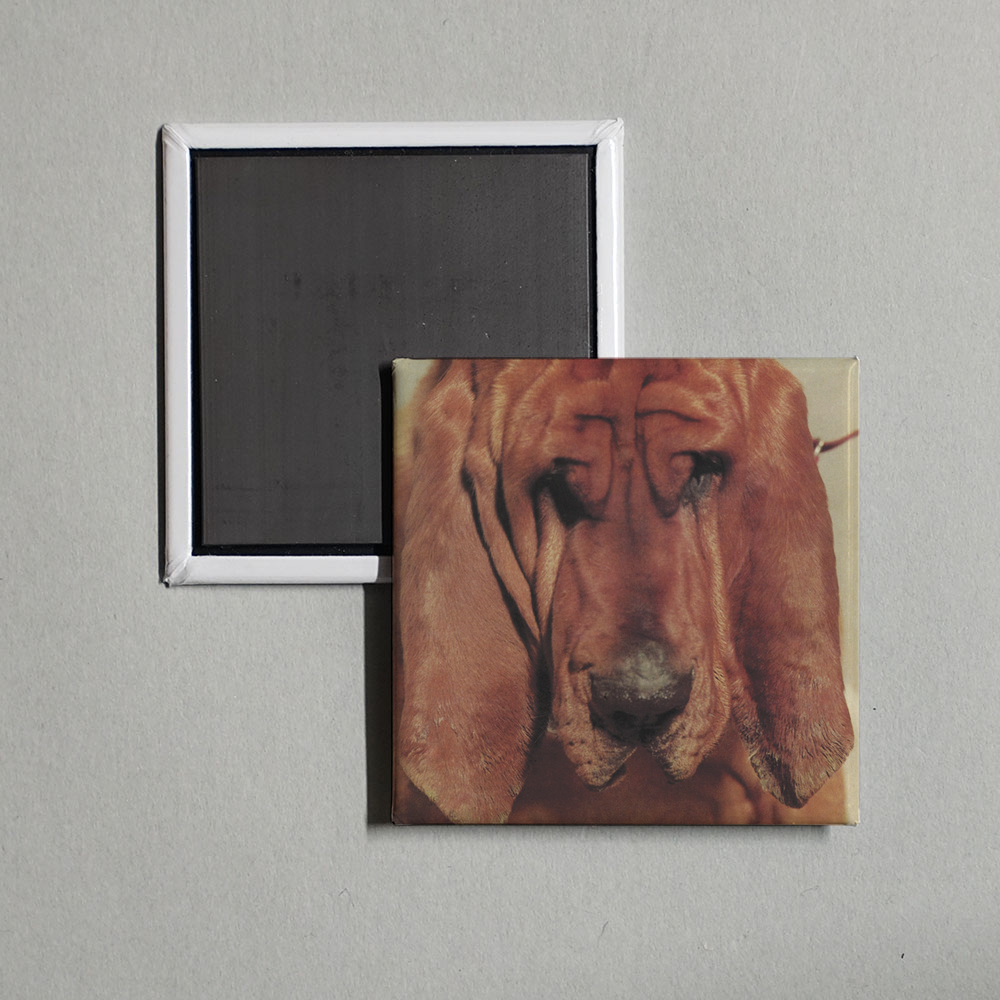 Ty Segall - Goodbye Bread Album Cover Fridge Magnet