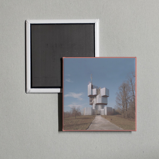 Unknown Mortal Orchestra - Unknown Mortal Orchestra Album Cover Fridge Magnet