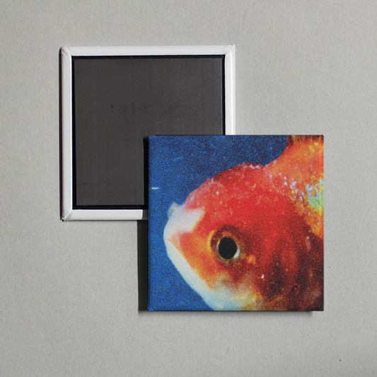 Vince Staples - Big Fish Theory Album Cover Fridge Magnet