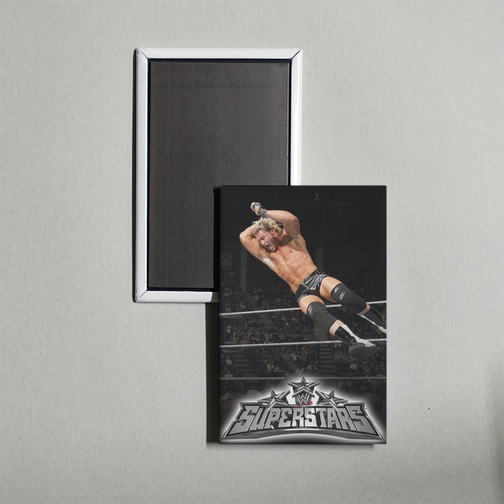 WWE Superstars TV Show Fridge Magnet