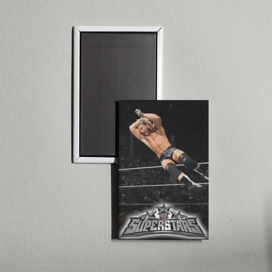 WWE Superstars TV Show Fridge Magnet