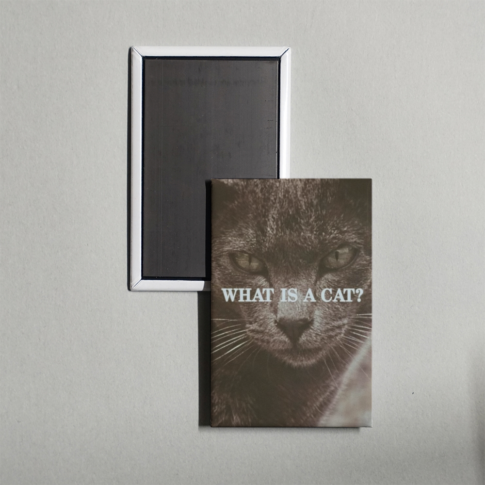 What Is a Cat Mini Movie Fridge Magnet