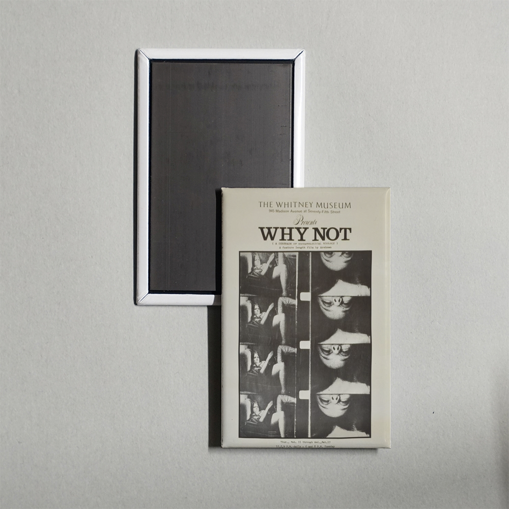 Why Not A Serenade of Eschatological Ecology Mini Movie Fridge Magnet