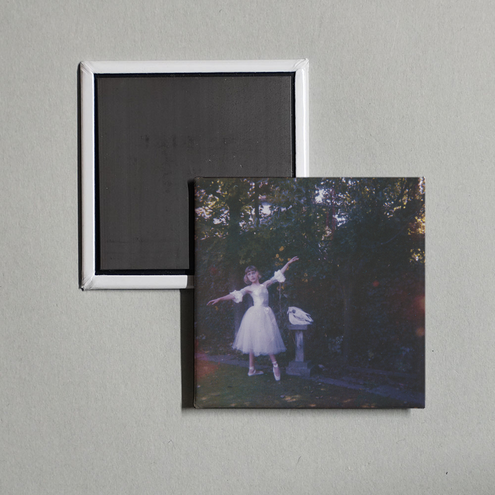 Wolf Alice - Visions Of A Life Album Cover Fridge Magnet