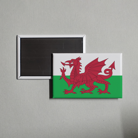gb-wls Fridge Magnet